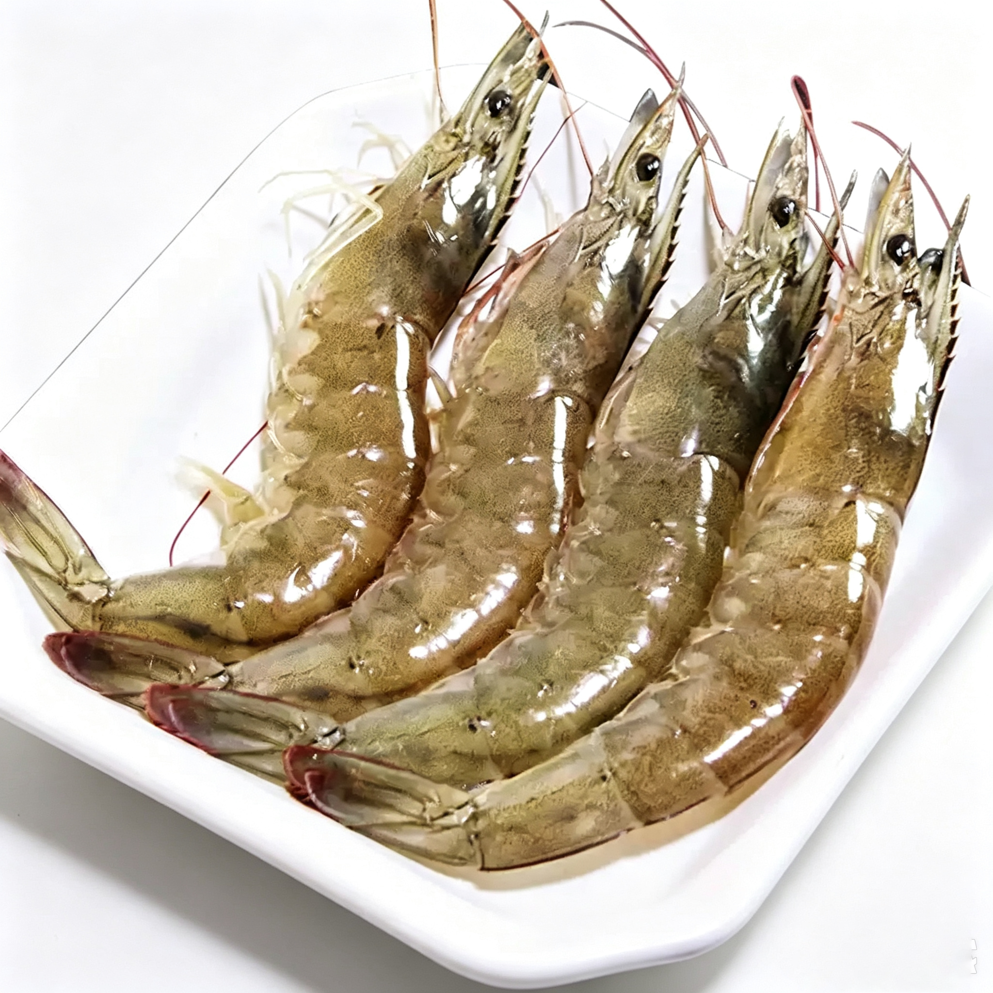 Frozen Raw Whole Prawns