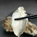 Frozen Shucked Oyster Meat
