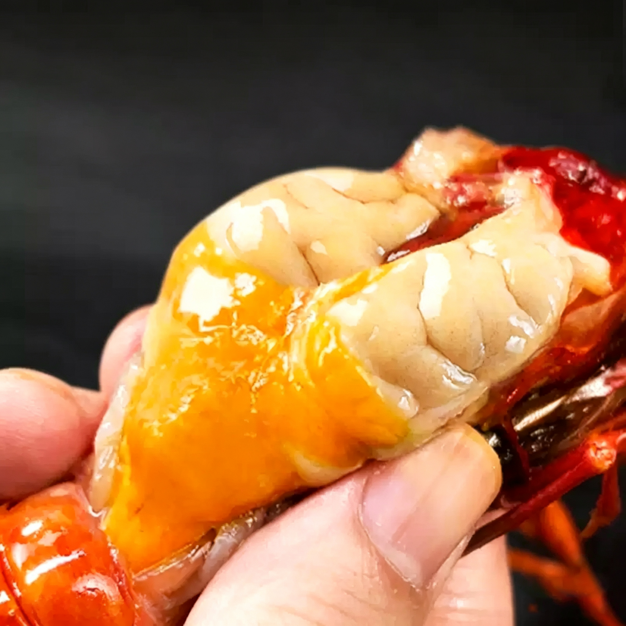 Frozen Wild Caught Scarlet Prawn